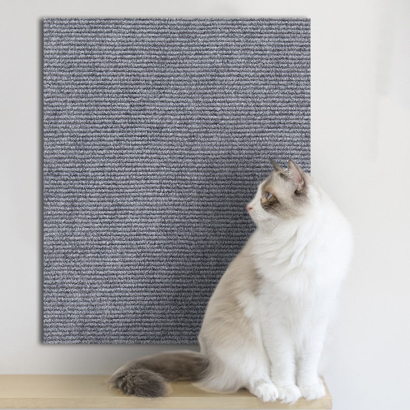 Cat Scratching Carpet