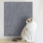 Cat Scratching Carpet