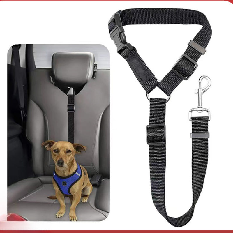 Dog Car Seat Belt Lead
