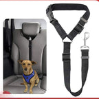 Dog Car Seat Belt Lead