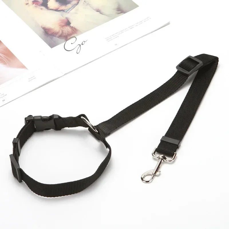 Dog Car Seat Belt Lead