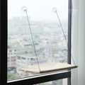 Bed with Suction Cups