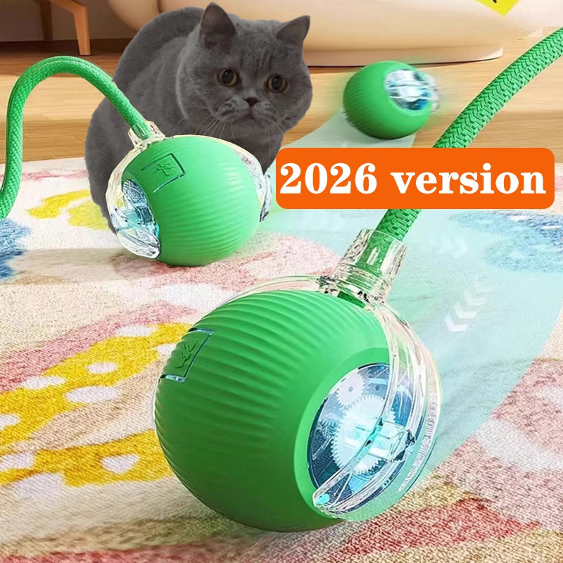 Automatic Cat Interactive Ball
