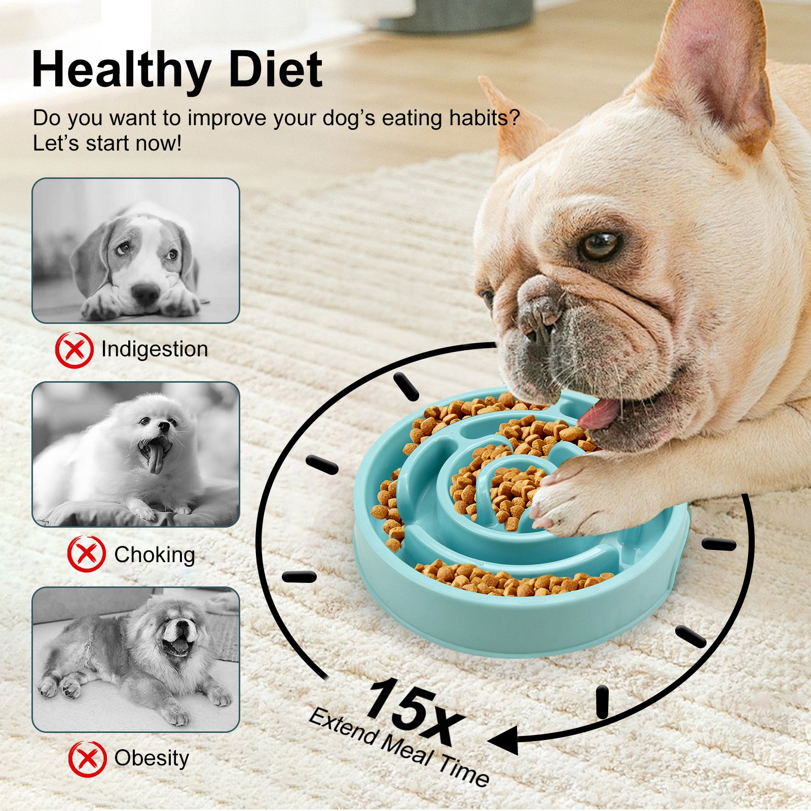 Slow Feeder Dog Bowl (Non-Slip)