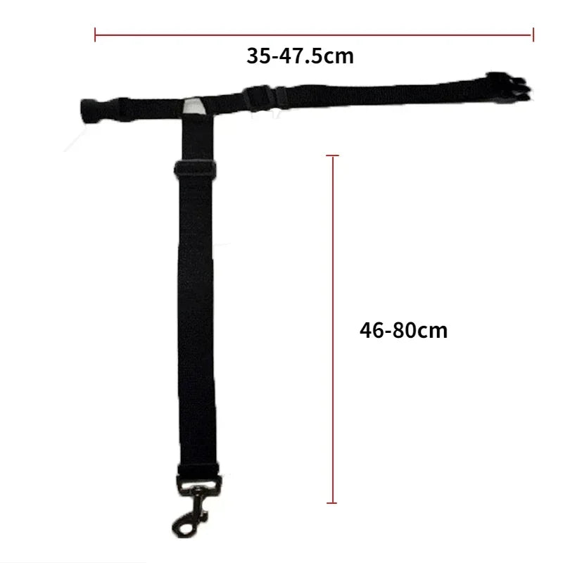 Dog Car Seat Belt Lead