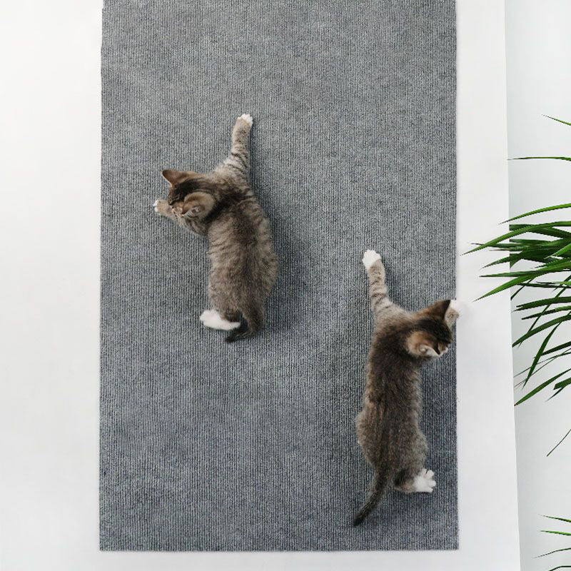 Cat Scratching Carpet