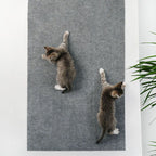 Cat Scratching Carpet