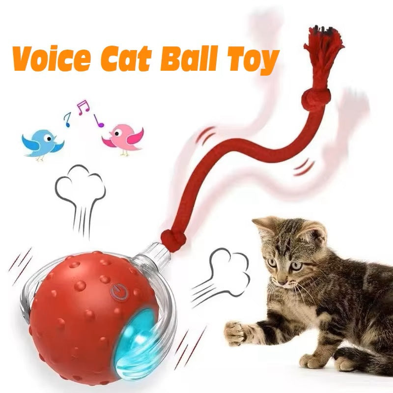 Automatic Cat Interactive Ball