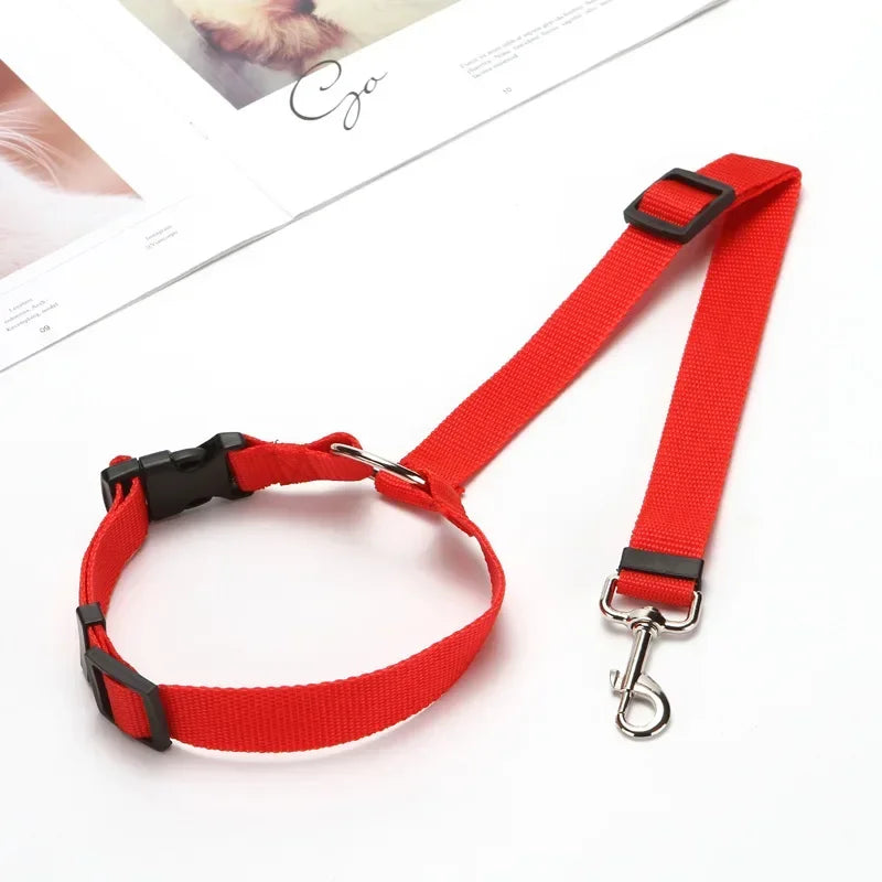 Dog Car Seat Belt Lead
