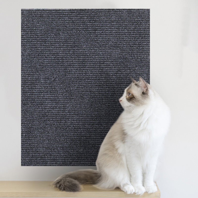 Cat Scratching Carpet