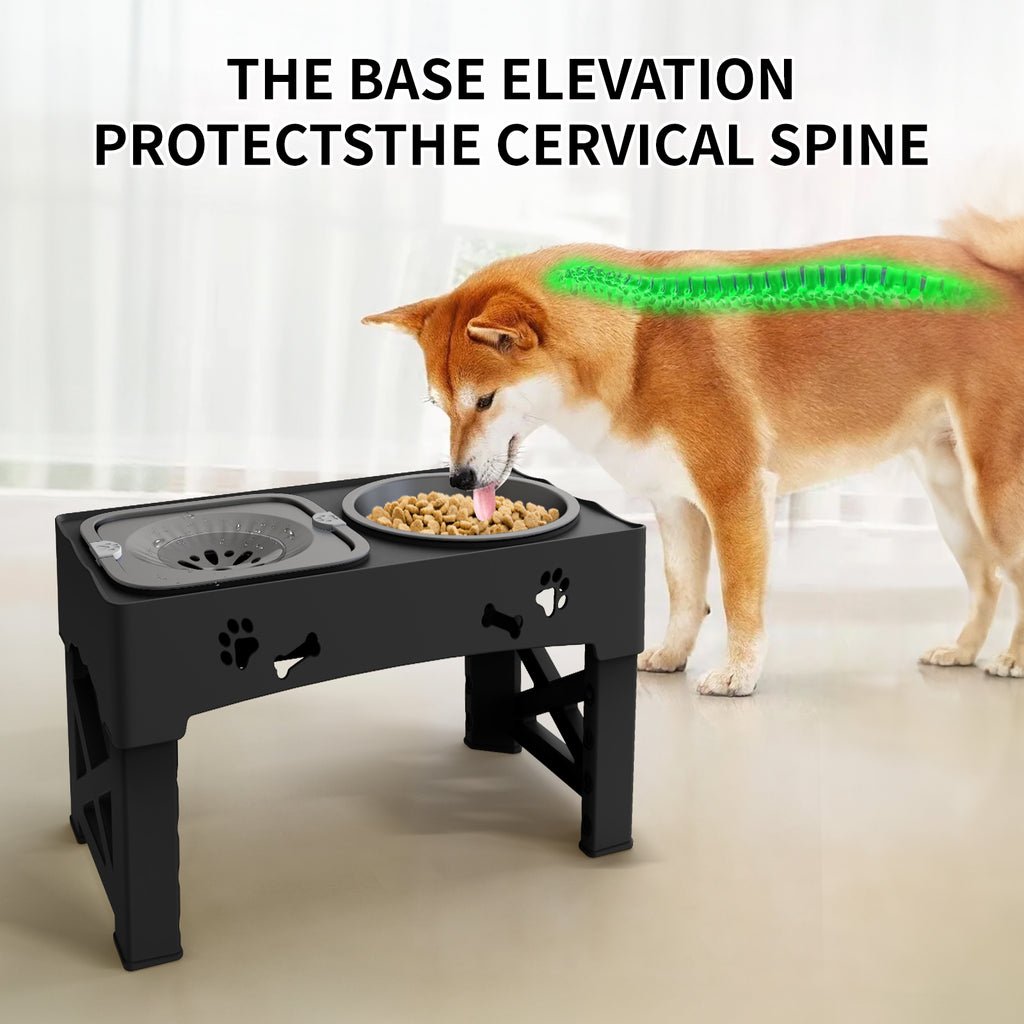 Adjustable Elevated Pet Feeder