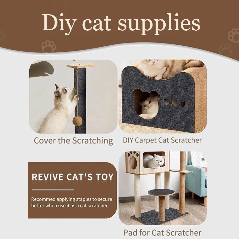 Cat Scratching Carpet