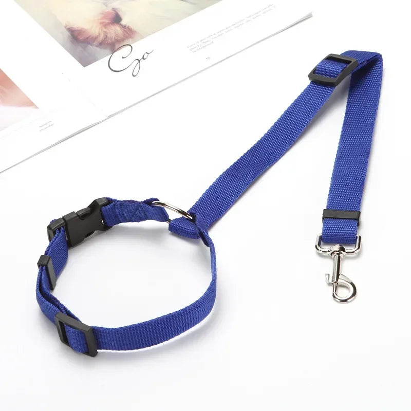 Dog Car Seat Belt Lead