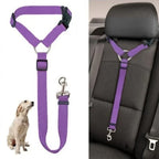 Dog Car Seat Belt Lead