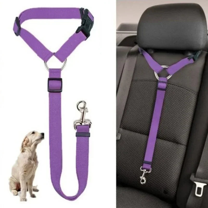 Dog Car Seat Belt Lead