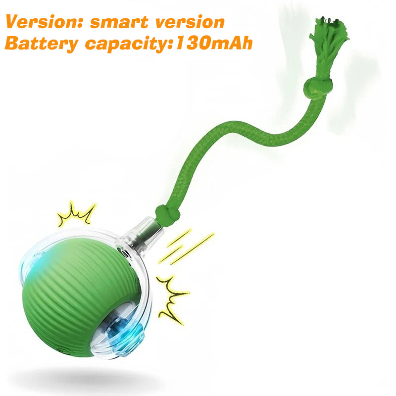 Automatic Cat Interactive Ball