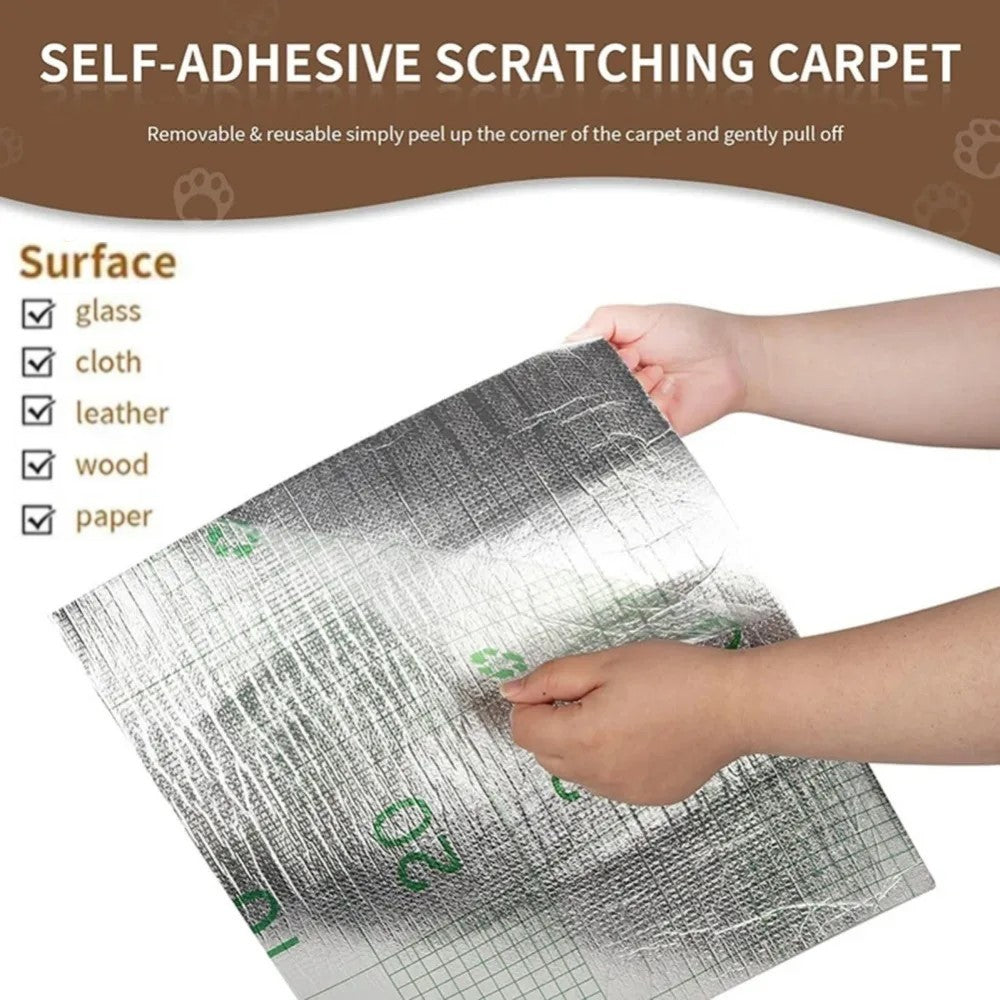 Cat Scratching Carpet