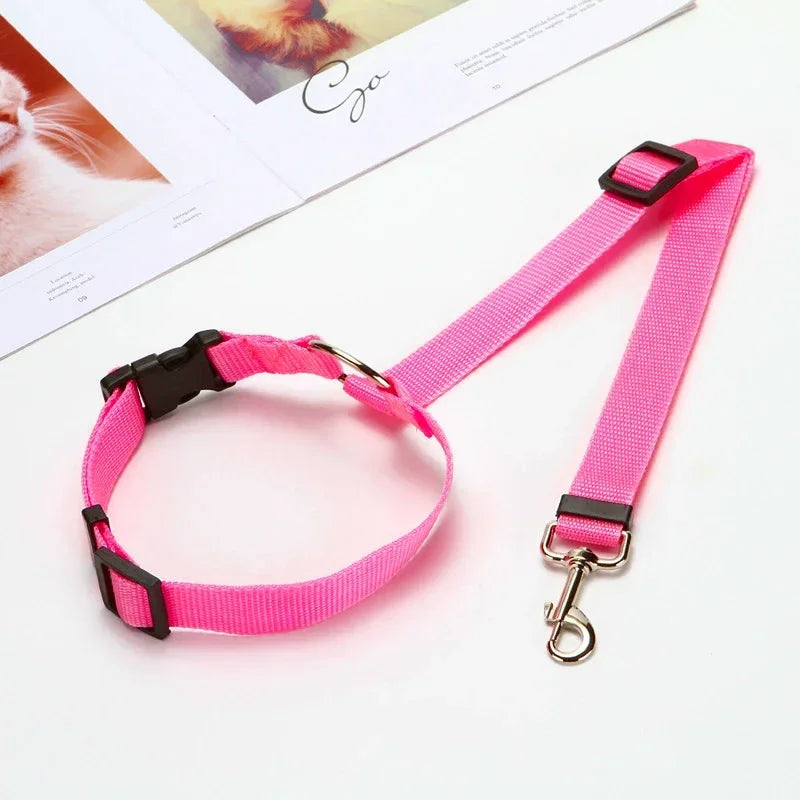 Dog Car Seat Belt Lead