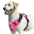 Dog Harness