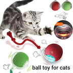 Automatic Cat Interactive Ball