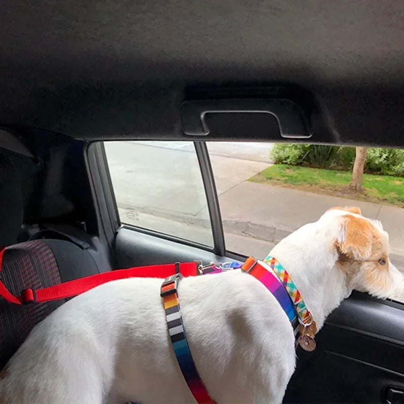 Dog Car Seat Belt Lead