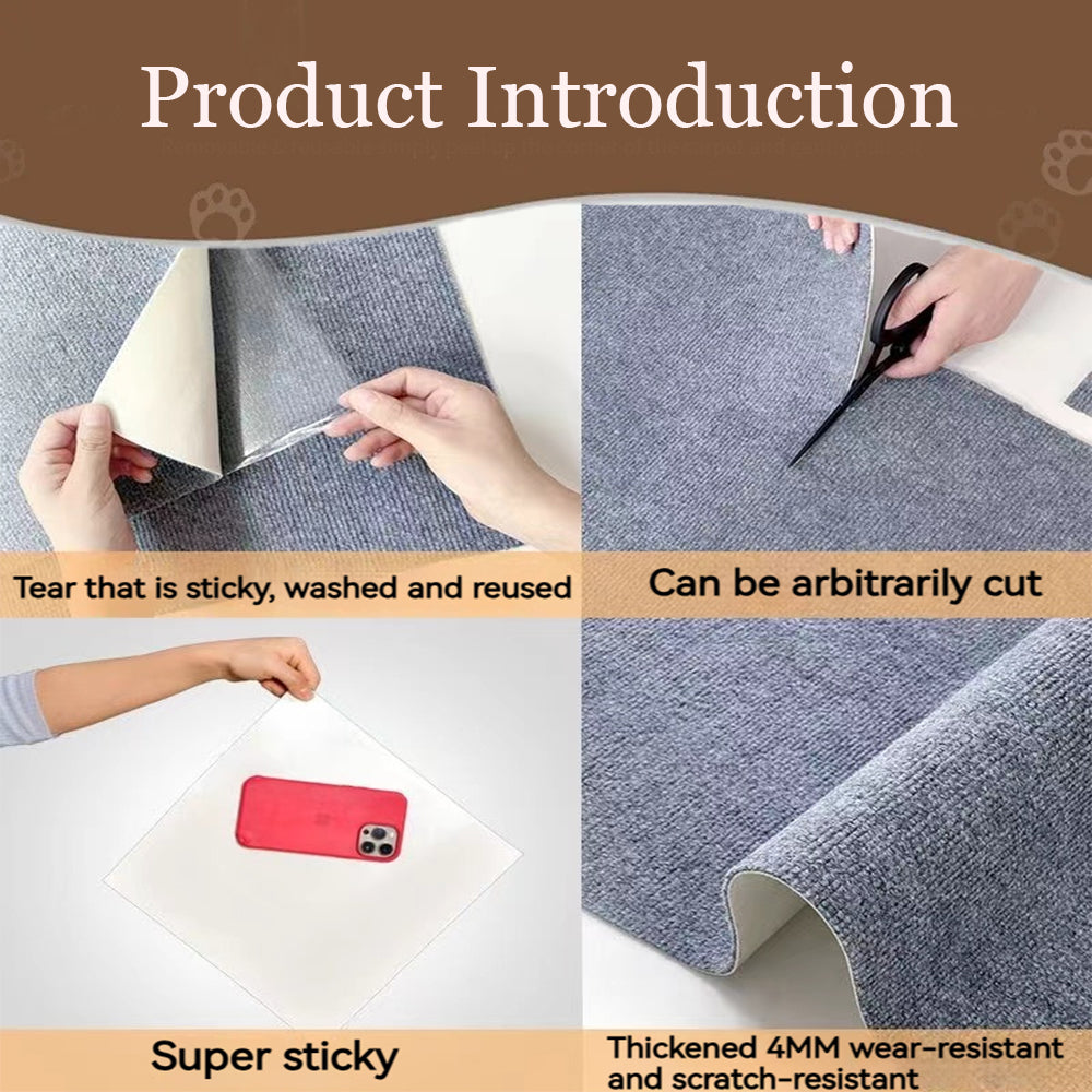 Cat Scratching Carpet
