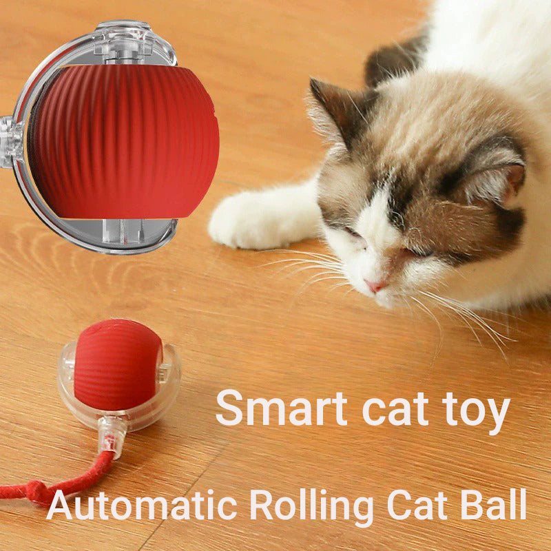 Automatic Cat Interactive Ball