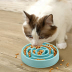 Slow Feeder Dog Bowl (Non-Slip)