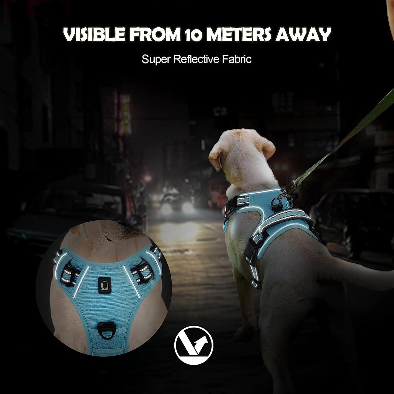 Dog Harness