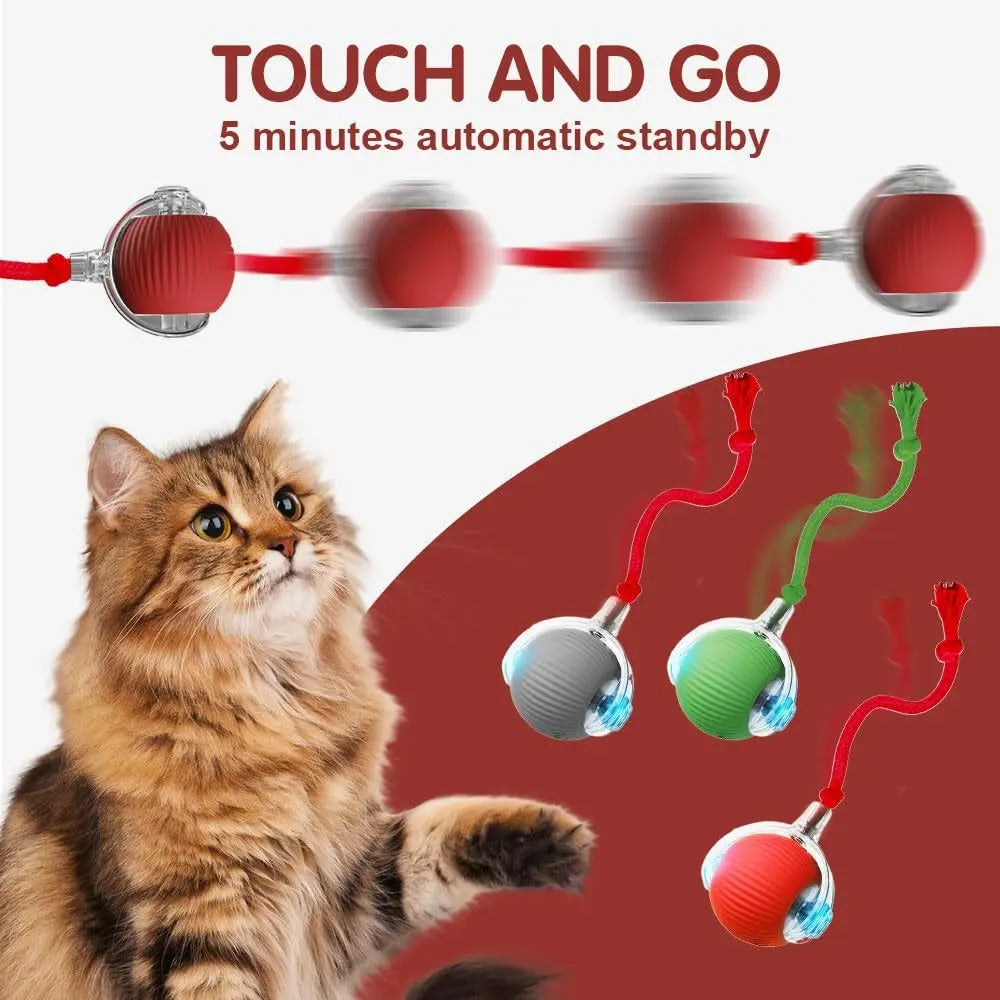 Automatic Cat Interactive Ball