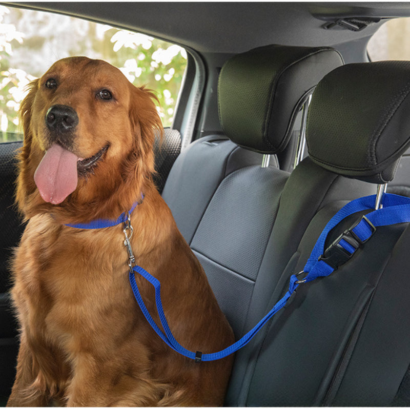 Dog Car Seat Belt Lead