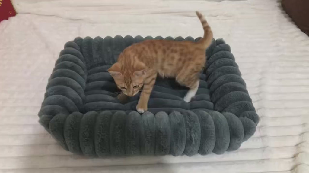Orthopedic Dog Bed